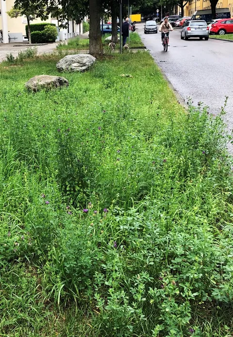 Grünquartiere entlang der Wege