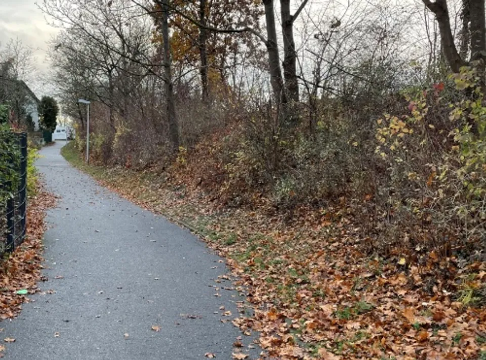 Bestandsweg am Lärmschutzwall der Landesstraße L 1142